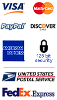visa,master card,paypal